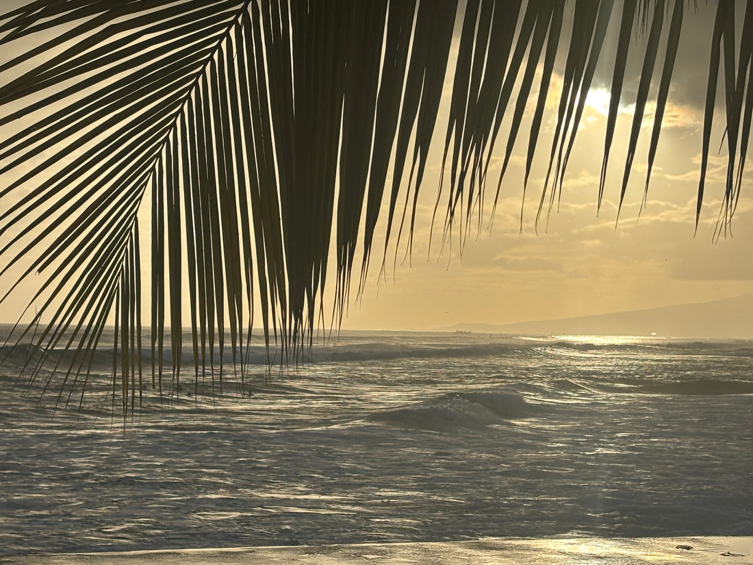 SOUTH SWELL
